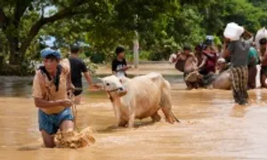 Số người chết vì lũ lụt sau bão Yagi ở Myanmar tăng lên 226